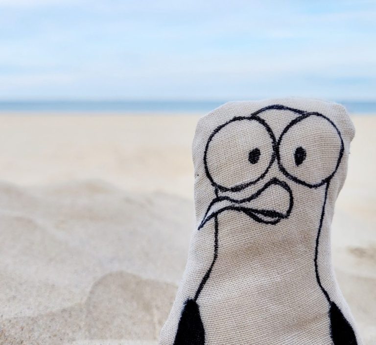 Udo, die Möwe in genähter Form am Strand mit der Ostsee im Hintergrund