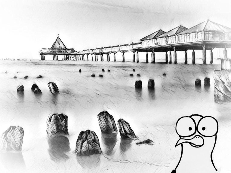 Udo, die Möwe vor der Heringsdorfer Seebrücke in Schwarz-Weiß